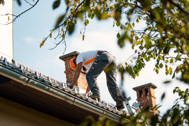 Quick and Trustworthy Emergency Roof Repair Services in Gibbon, NE